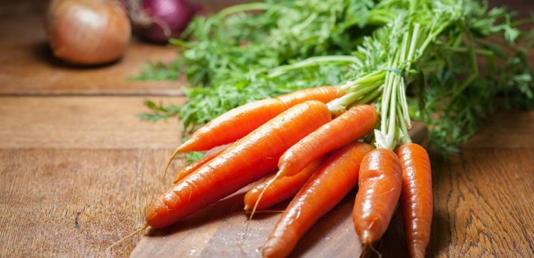 Морковь — это не только вкусный овощ, но и полезный продукт для здоровья. Узнайте, почему стоит есть морковь и какие её преимущества для организма.