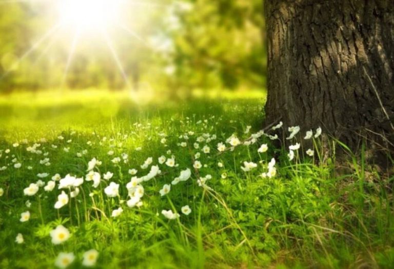 6 августа празднуют Преображение Господне, Международный день «Врачи мира за мир» и День благодарности аграриям. Что запрещено и какие традиции существуют.