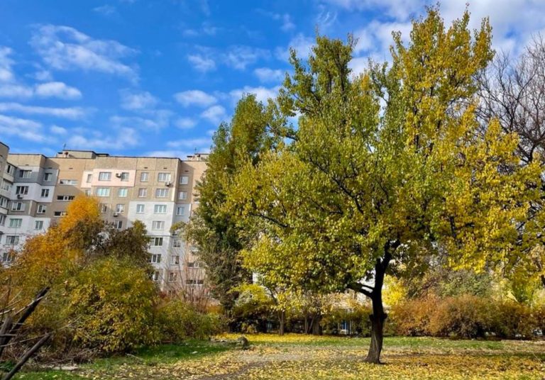 4 ноября в Украине День железнодорожника, память Иоаникия Великого, Международный день маркетинга и день украинского фрилансера.