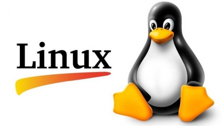 Эксперты назвали пять ключевых преимуществ Linux перед Windows 11: стоимость, поддержка старых ПК, гибкие настройки, отсутствие навязчивого ИИ и конфиденциальность.
